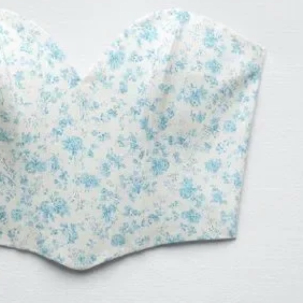 Zara Blue Floral Crop Top